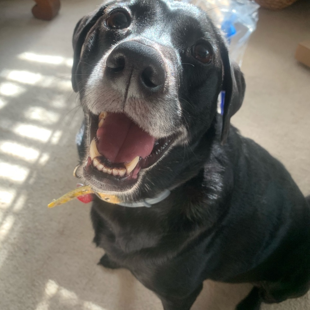 Meet your Posher, Aydan